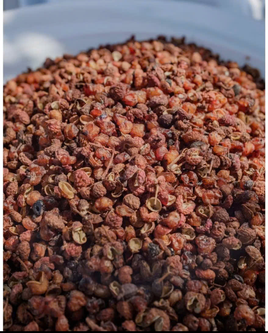 Xuyên tiêu đỏ/Hoa tiêu đỏ